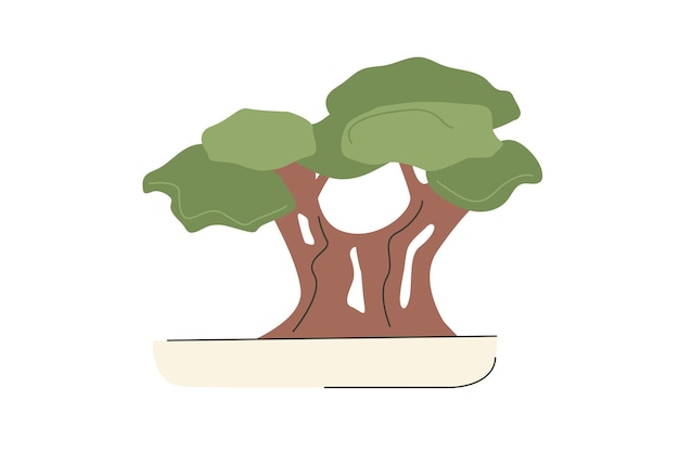 Vector minimalistic bonsai in a pot house plant in trendy colors