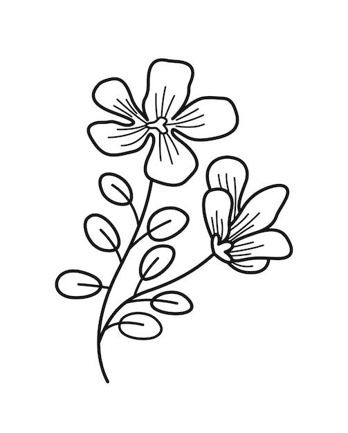 Minimalistic floral branch