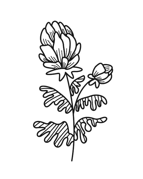 Minimalistic floral branch