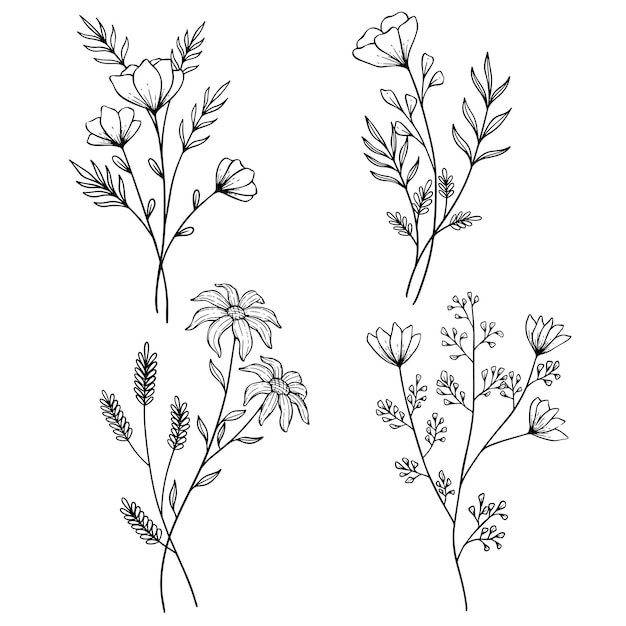Минималистичный цветочный графический эскиз, рисунок цветущих растений и ветвей с листьями