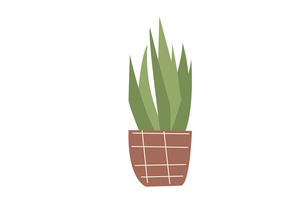 Vector minimalistic flower in a pot house plant with triangular leaves in trendy colors