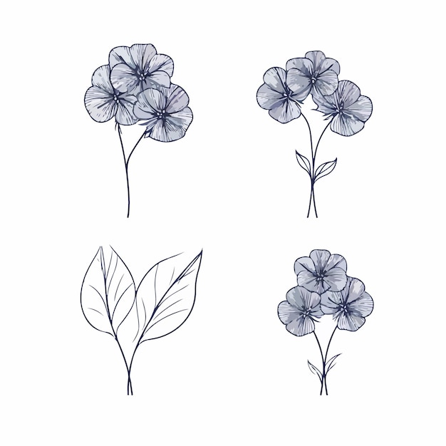 Minimalistic hydrangea outline illustration