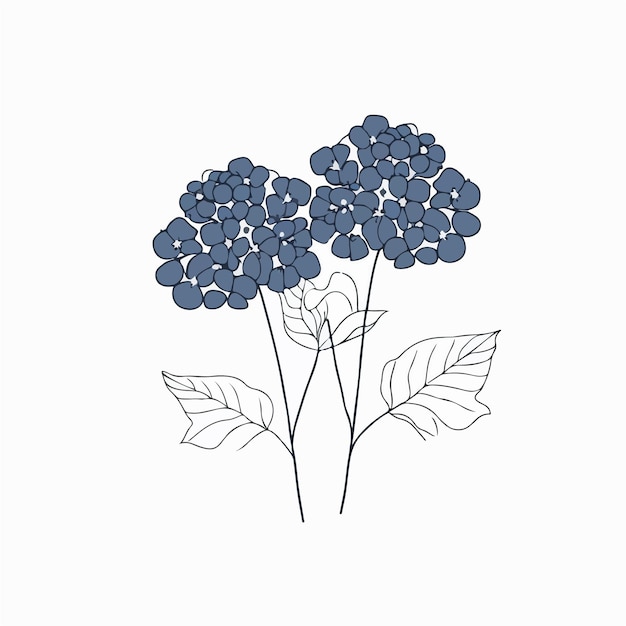 Minimalistic hydrangea vector artwork perfect for various designs