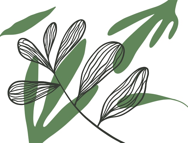 Минималистичный шаблон листьев Набор зеленых природных элементов