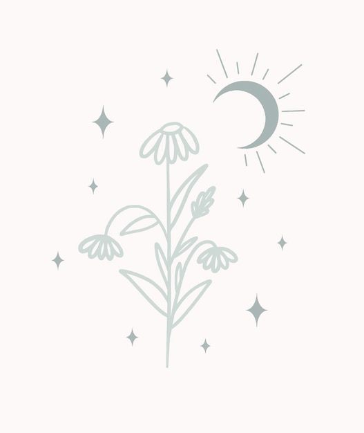 Minimalistic plants with moon and magic