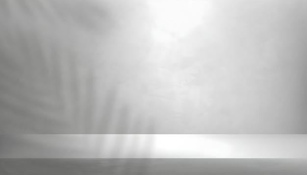 Minimalistisch studio podium met palmblad schaduwen
