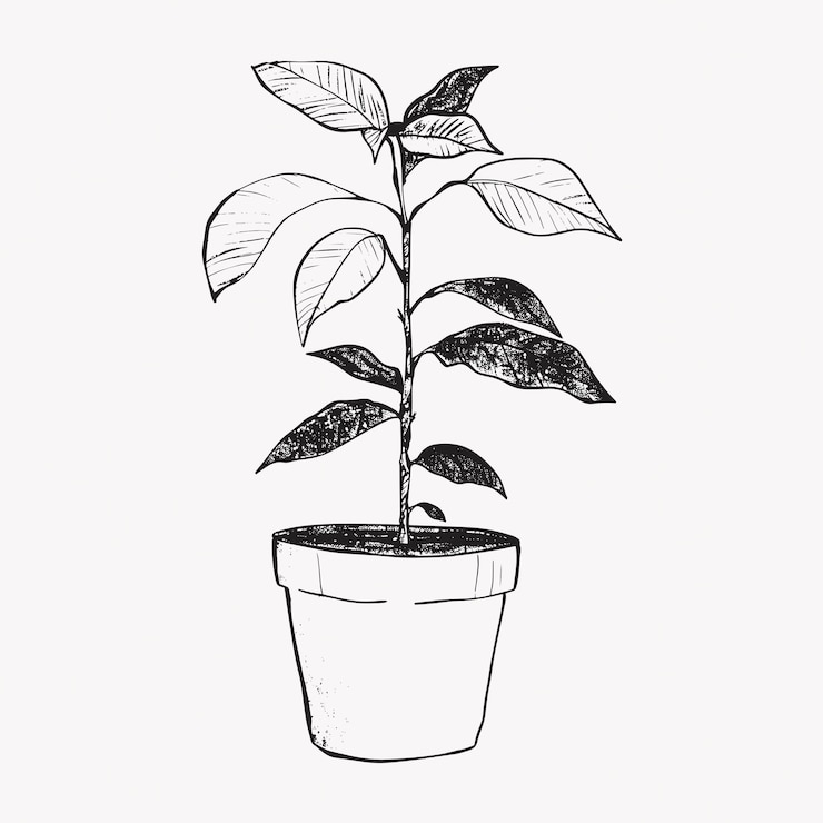 Vector minimalistische illustratie van een potplant