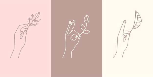 Minimalistische logo sjablonen posters voor bedrijfsidentiteit met vrouwelijke handen bladeren en takken