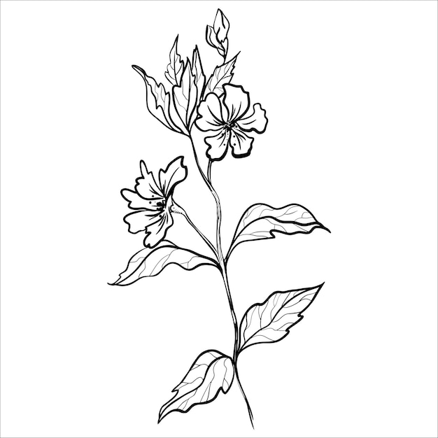 Minimalistische met de hand getekende monochrome bloemtak