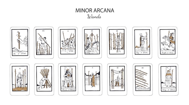 Vector minor arcana wands vector tarot cards set