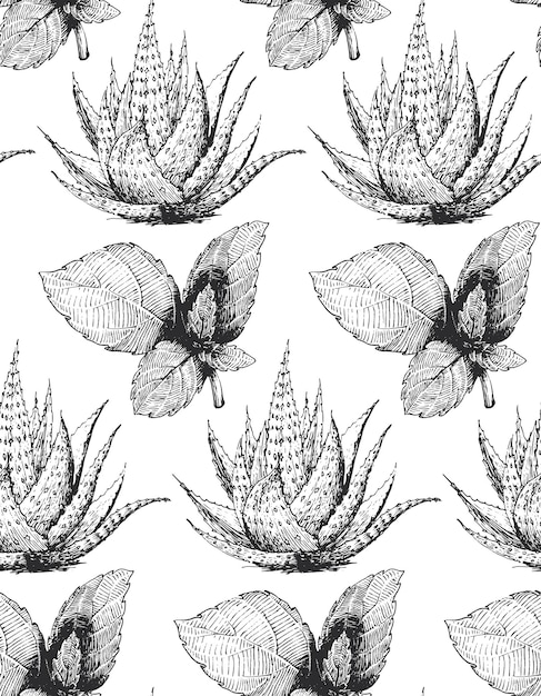 Mint and aloe wallpaper herb seamless pattern