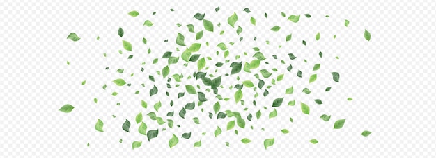 Vector mint greenery foliage fly template