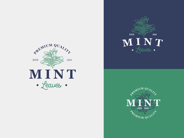 Mint leaf spice Hand Draw Logo Template with Premium Vintage Typography