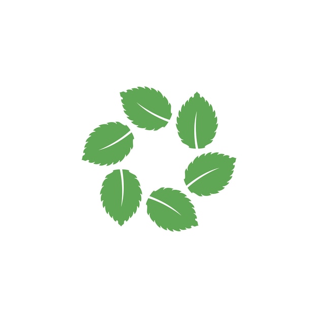 Mint leaf vector icon illustration