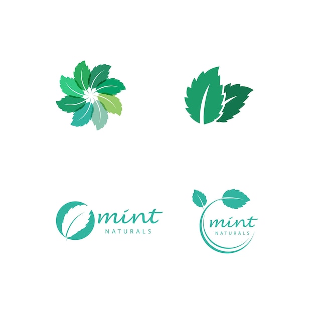 Vector mint leaves flat vector color icon template illustration design