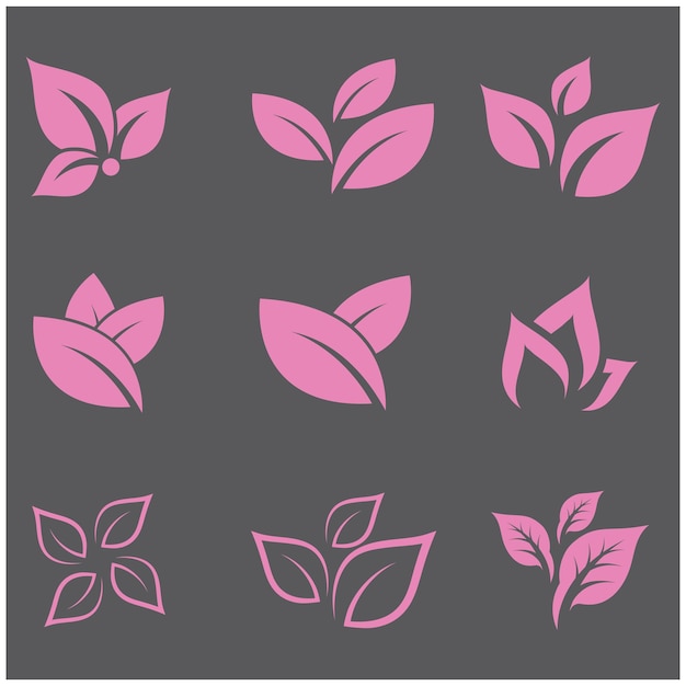 Mint leaves flat vector color icon template illustration design