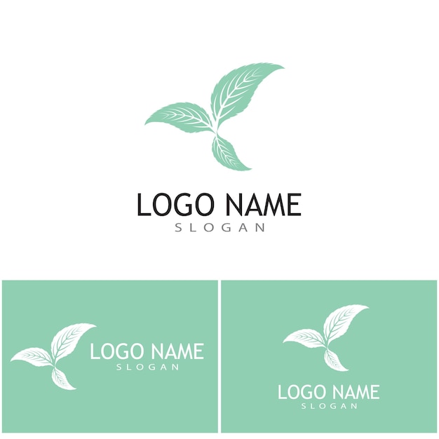 Mint leaves flat vector color icon template illustration design