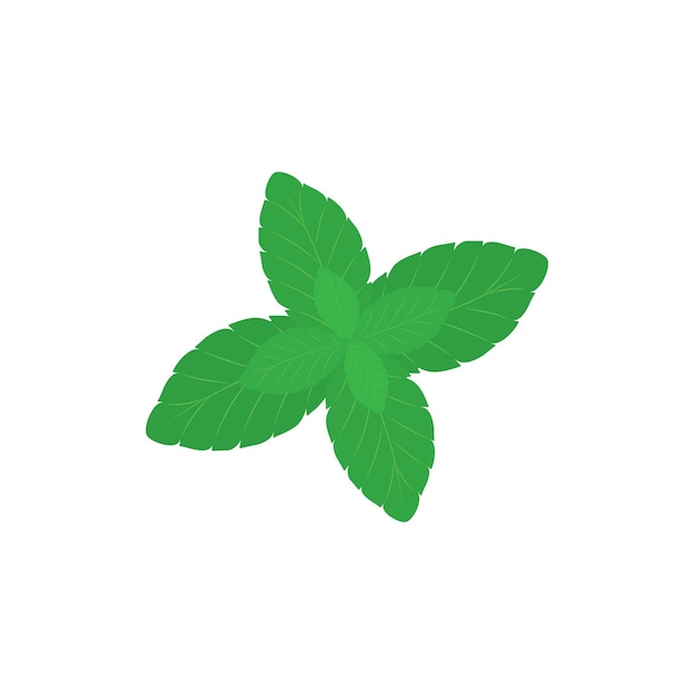 mint leaves icon logo template vector