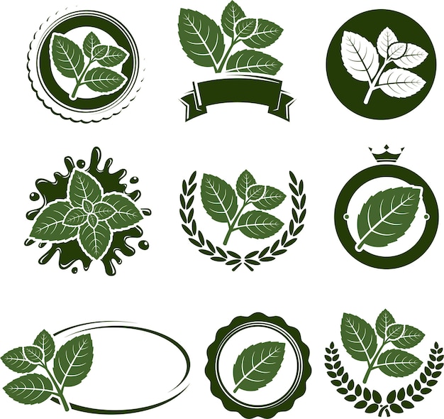 Vector mint leaves label set vector