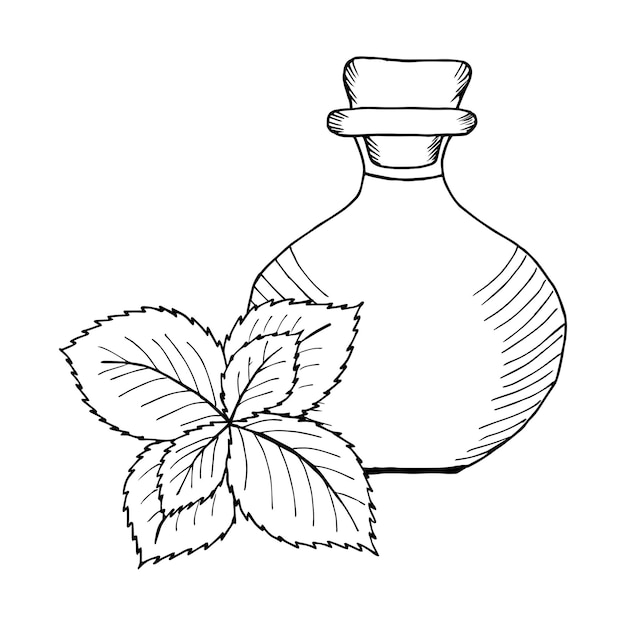 Mint oil bottle
