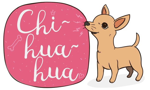 Chihuahua malizioso che abbaia a un cartello