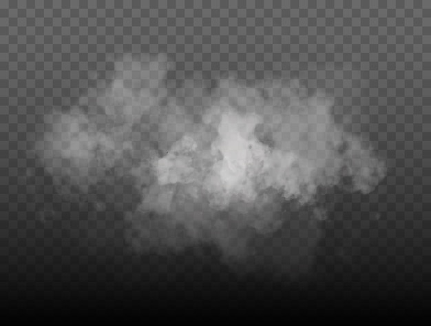 Vector mist of rook geïsoleerd transparant speciaal effect wit vector bewolking mist of smog achtergrond vec...