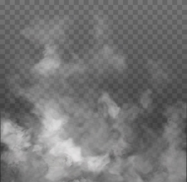 Mist of rook geïsoleerd transparant speciaal effect witte vector bewolking mist of smog achtergrond