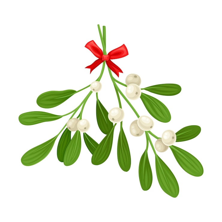 Vector misteltak gebonden met lint vectoritem kleurrijke twijgcompositie voor kerstkaartontwerp
