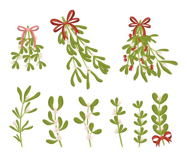 Набор ветвей омелы. праздничный пучок свежих зеленых растений омелы, идеально подходящий для праздничного декора и традиционных поцелуев. добавляет очаровательный штрих к рождественским торжествам. мультфильм векторная иллюстрация