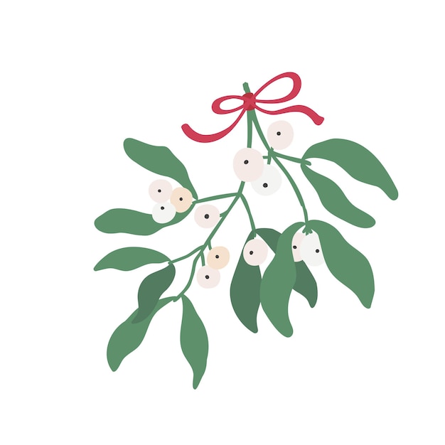 Vector mistletoe hand drawn illustration two sprigs hanging with a red bow christmas decoration