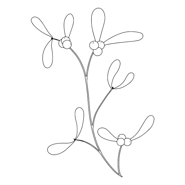 Vector mistletoe with berry and leaves. christmas plant for holiday decoration.