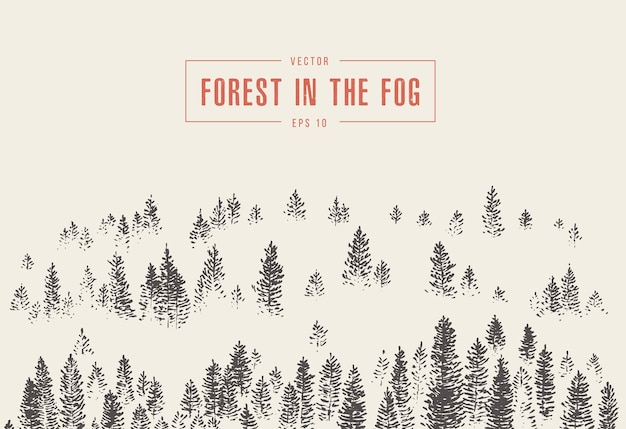 Vector misty fog in pine forest on mountain slopes, vector illustration, hand drawn, sketch