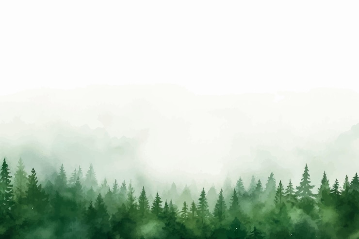 Vector misty forest watercolor painting