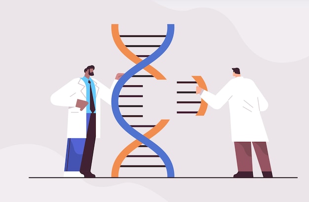 遺伝子診断をテストする実験室で実験を行うdna研究者と協力する混血科学者