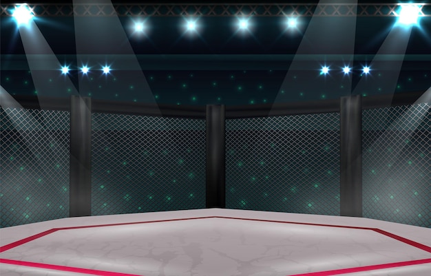 MMA Arena Background