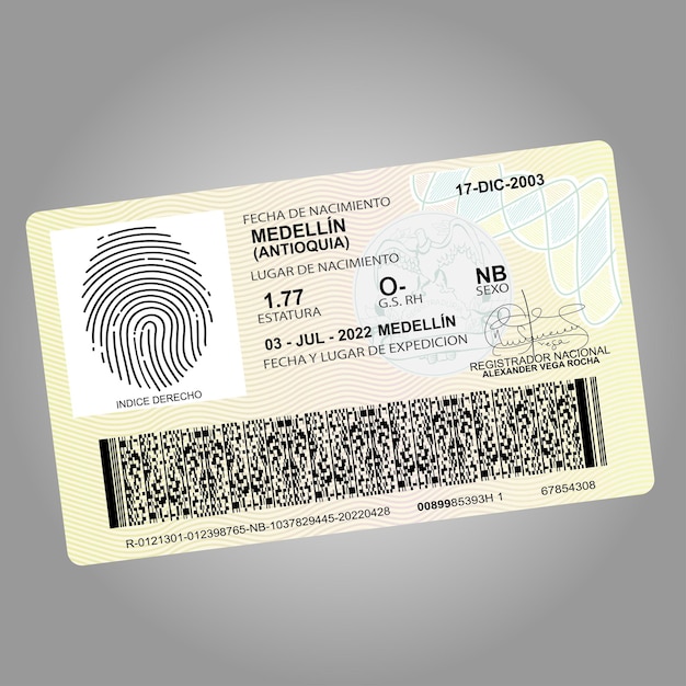 Vector mock up colombian id