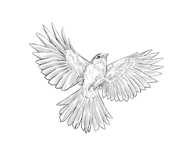 Mockingbird fly