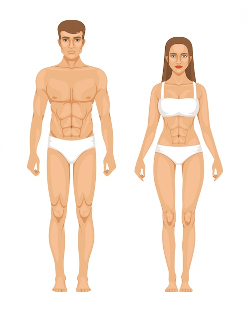 Model of sporty man and woman standing front view