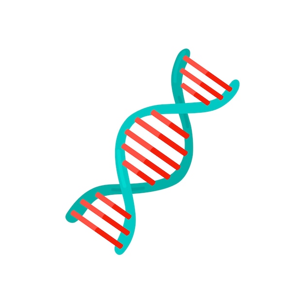 Model van een veelkleurige vectorillustratie DNA-molecuul.