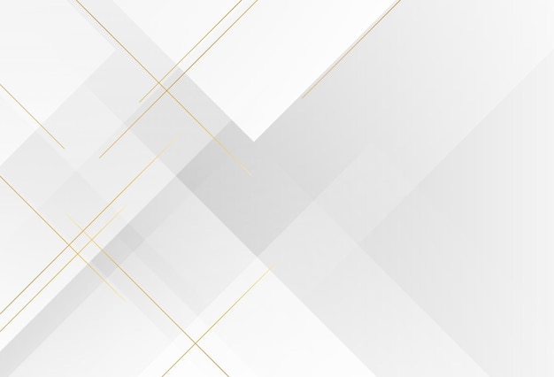 Vector modern background white and gray gradient gold line abstract pattern slash effect style vect