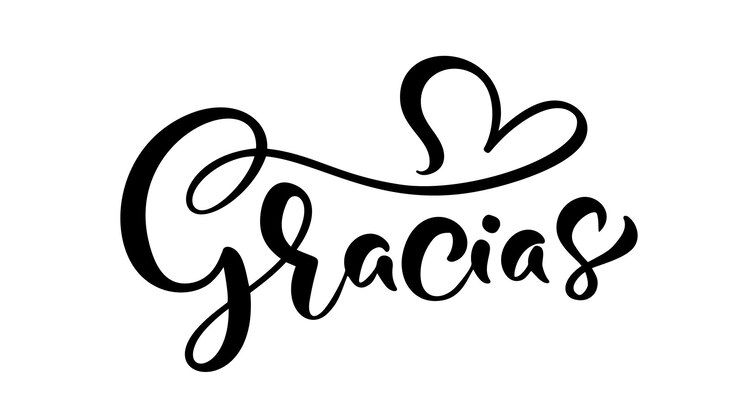Modern brush calligraphy Gracias hand written lettering Thank you in spanish Isolated on background