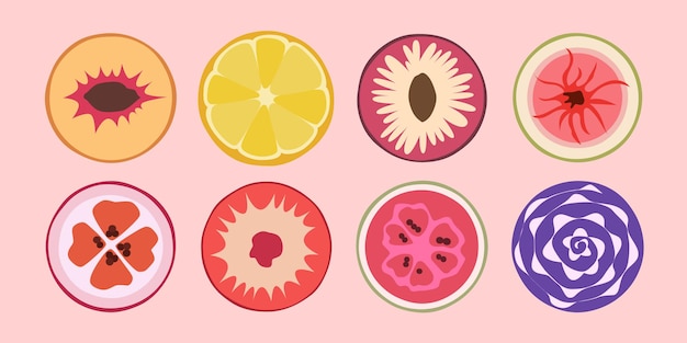 Vector modern colorful fruits and vegetables. different colors and styles.