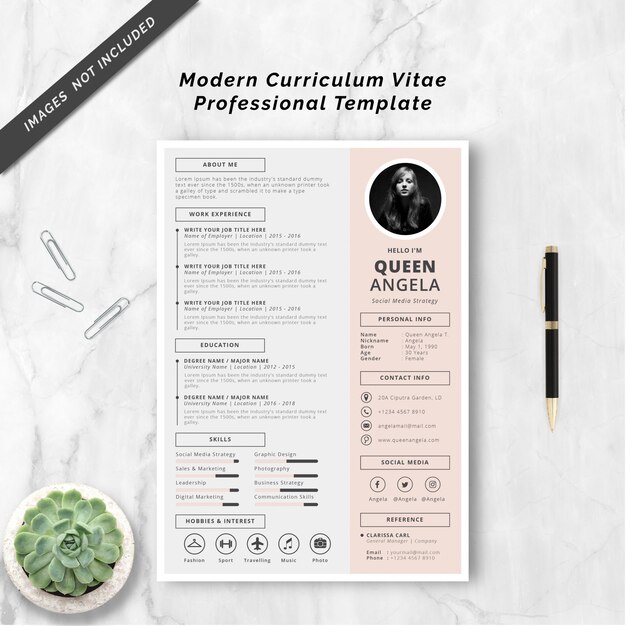 Modello professionale di curriculum vitae moderno