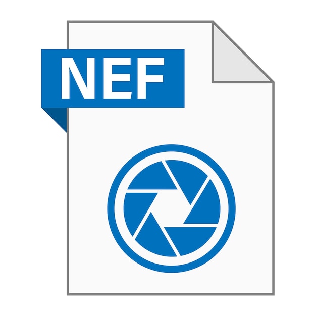 Web の NEF ファイル アイコンのモダンなフラット デザイン