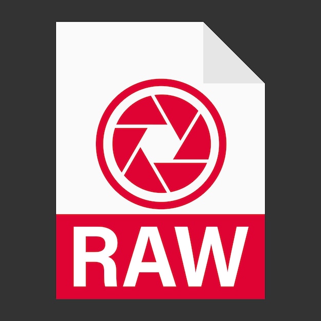 Web の raw ファイル アイコンのモダンなフラット デザイン