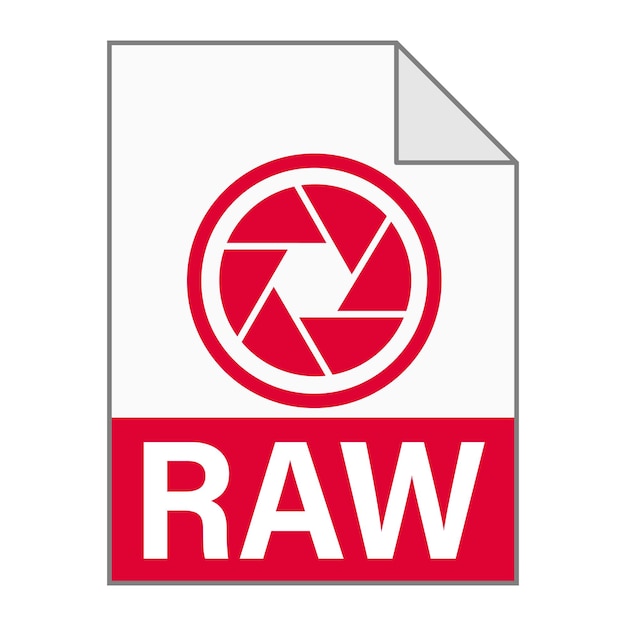 Modern flat design of RAW file icon for web Simple style