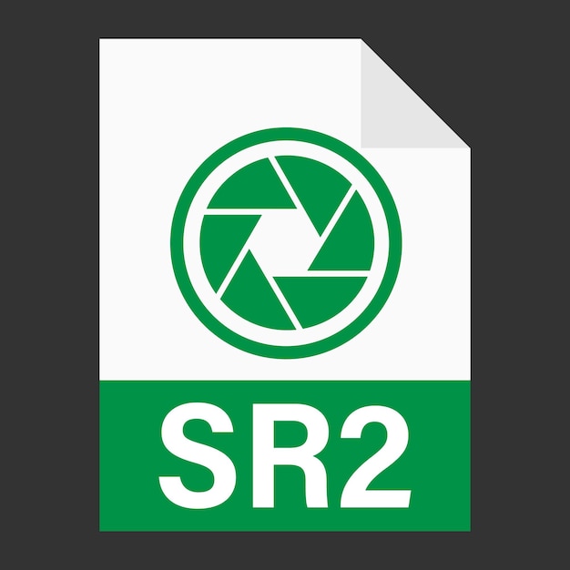 Modern flat design of SR2 file icon for web