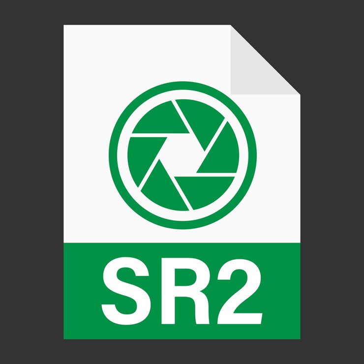 Vector modern flat design of sr2 file icon for web