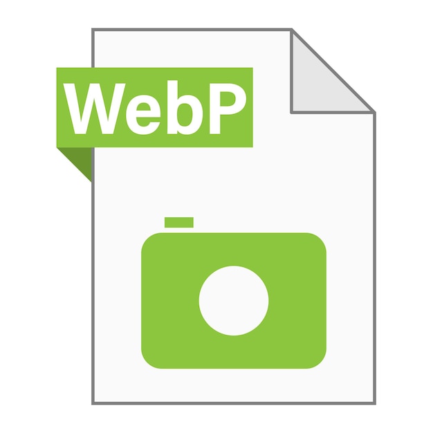 웹용 WebP 파일 아이콘의 현대적인 평면 디자인