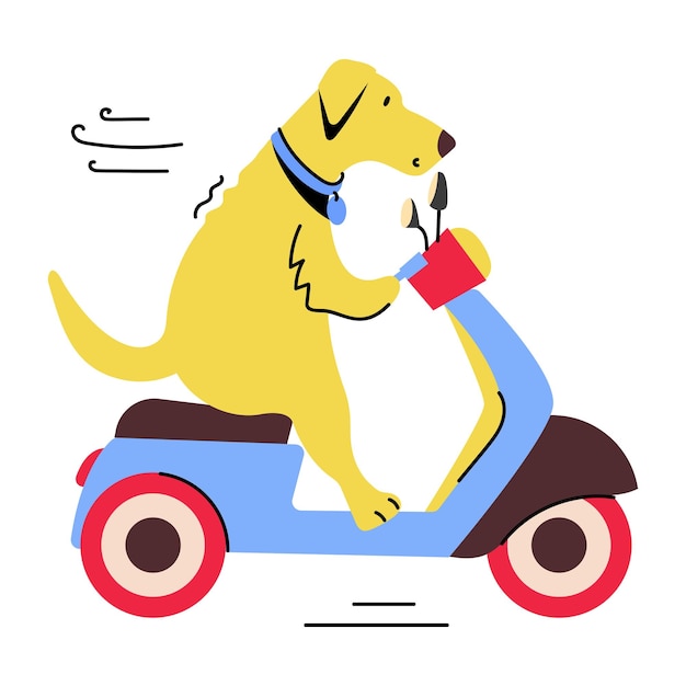 Vector modern flat illustration of dog riding